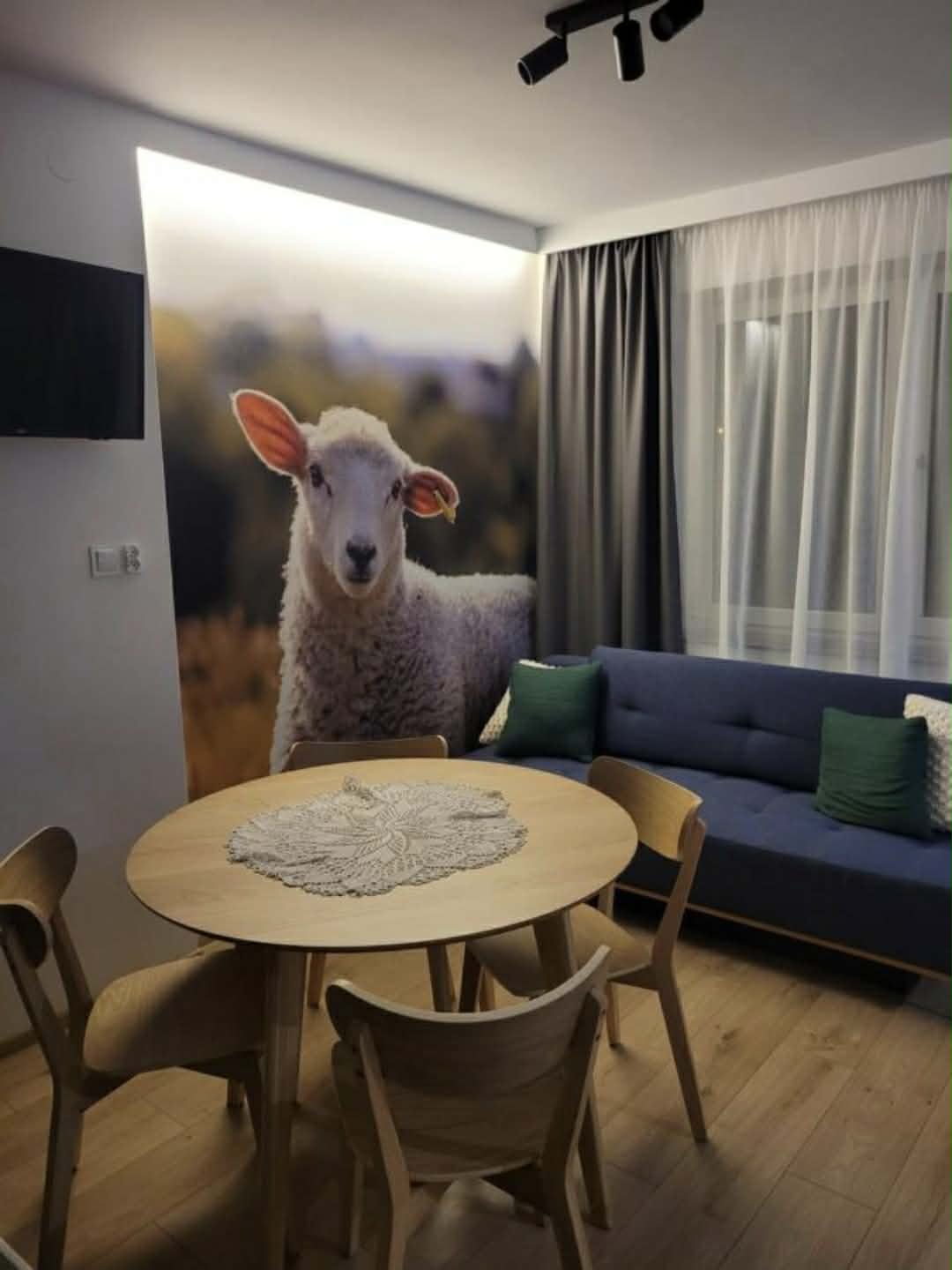 Pokój noclegowy w Daglezji — zdjęcie 5